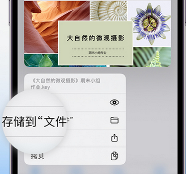 邱县apple维修中心分享iPhone文件应用中存储和找到下载文件