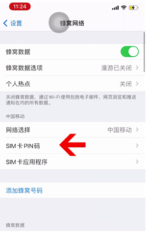 邱县苹果14维修网分享如何给iPhone14的SIM卡设置密码 