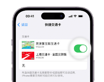 邱县apple维修点分享iPhone上更换Apple Pay快捷交通卡手绘卡面 