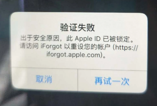 邱县iPhone维修分享iPhone上正常登录或使用AppleID怎么办 