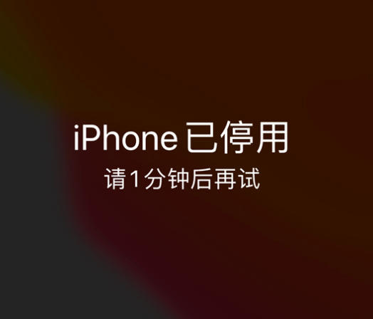 邱县苹果手机维修分享:iPhone 显示“不可用”或“已停用”怎么办？还能保留数据吗？ 