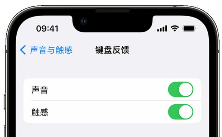 邱县苹果手机维修分享iPhone 14触感键盘使用方法 