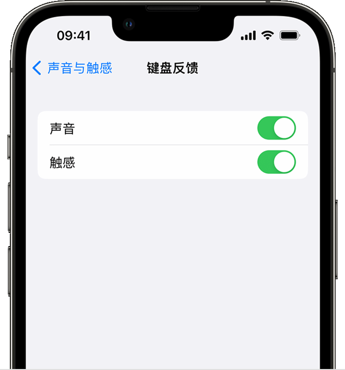 邱县苹果14维修店分享如何在 iPhone 14 机型中使用触感键盘 