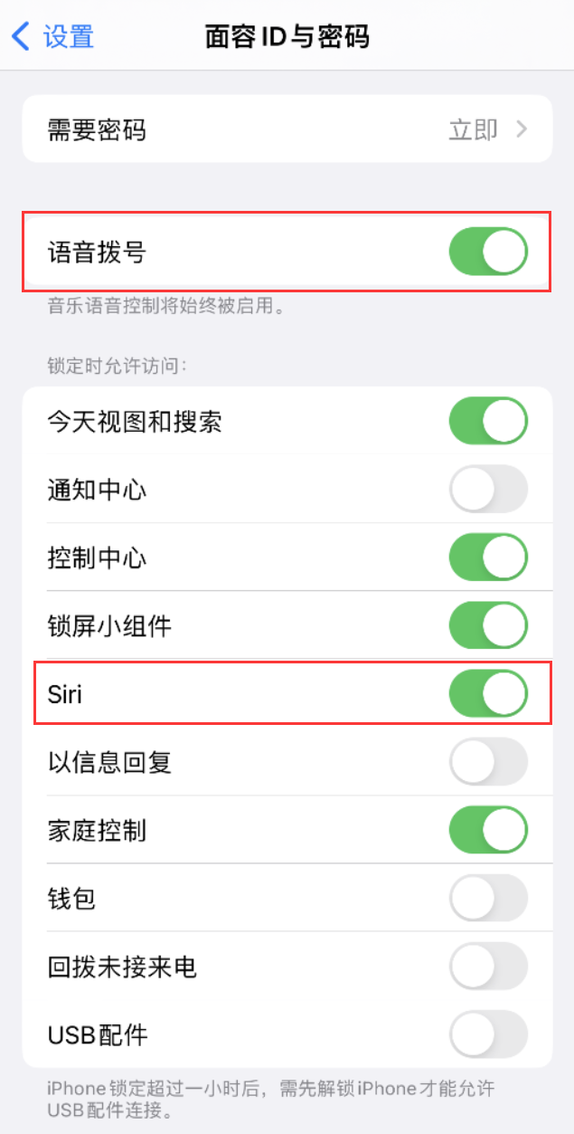 邱县苹果维修网点分享不解锁 iPhone 的情况下通过 Siri 拨打电话的方法 