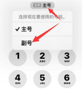 邱县苹果14维修店分享iPhone 14 Pro Max使用副卡打电话的方法 