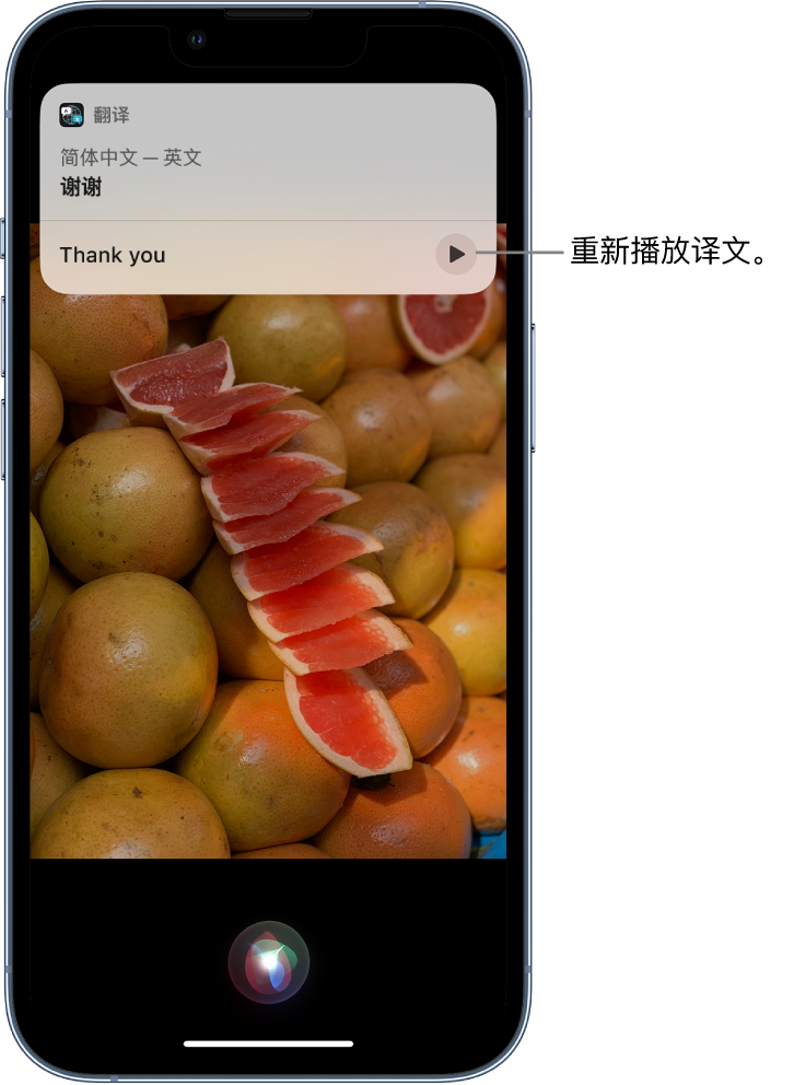 邱县苹果14维修分享 iPhone 14 机型中使用 Siri：了解 Siri 能帮你做什么 