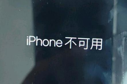 邱县苹果服务网点分享锁屏界面显示“iPhone 不可用”如何解决 