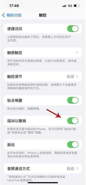 邱县苹果手机维修分享iPhone手机如何设置摇一摇删除文字 